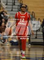 Photo from the gallery "Fort Wayne Wayne vs. Homestead"