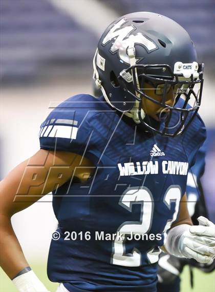 Thumbnail 1 in Lake Havasu vs. Willow Canyon photogallery.