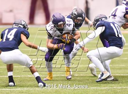 Thumbnail 2 in Lake Havasu vs. Willow Canyon photogallery.