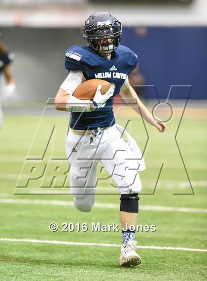 Thumbnail 1 in Lake Havasu vs. Willow Canyon photogallery.