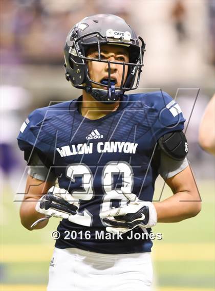 Thumbnail 1 in Lake Havasu vs. Willow Canyon photogallery.
