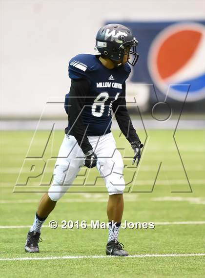 Thumbnail 1 in Lake Havasu vs. Willow Canyon photogallery.