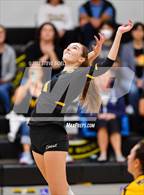 Photo from the gallery "West Hills @ Mission Bay"