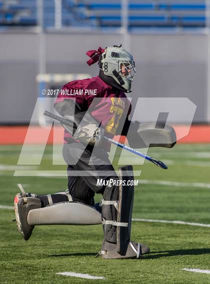 Thumbnail 2 in Whitney Point vs. Carle Place (NYSPHSAA Class C Final) photogallery.