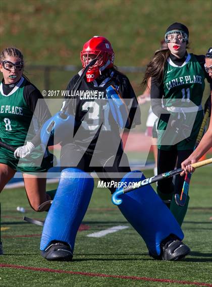 Thumbnail 1 in Whitney Point vs. Carle Place (NYSPHSAA Class C Final) photogallery.
