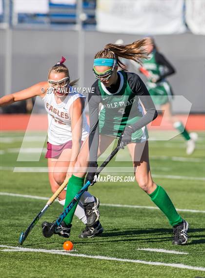 Thumbnail 1 in Whitney Point vs. Carle Place (NYSPHSAA Class C Final) photogallery.