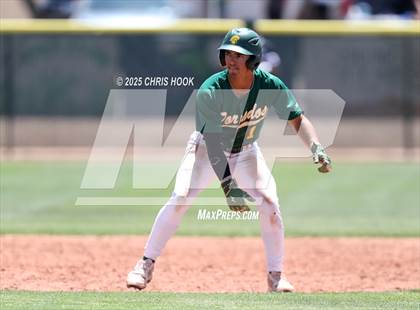 Thumbnail 1 in Campo Verde vs Canyon del Oro (AIA 5A Baseball Round 1A) photogallery.