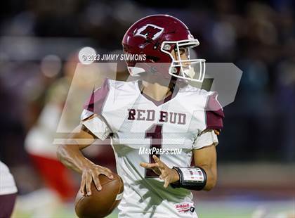 Thumbnail 2 in Red Bud @ Roxana photogallery.