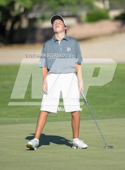 Thumbnail 1 in Basha,Chaparral,Pinnacle @Hamilton photogallery.