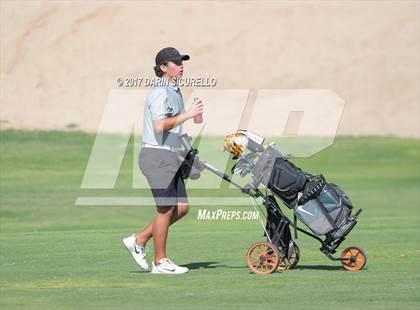 Thumbnail 2 in Basha,Chaparral,Pinnacle @Hamilton photogallery.