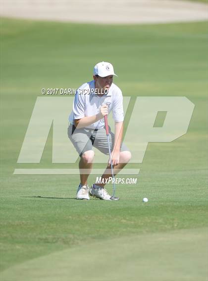 Thumbnail 1 in Basha,Chaparral,Pinnacle @Hamilton photogallery.
