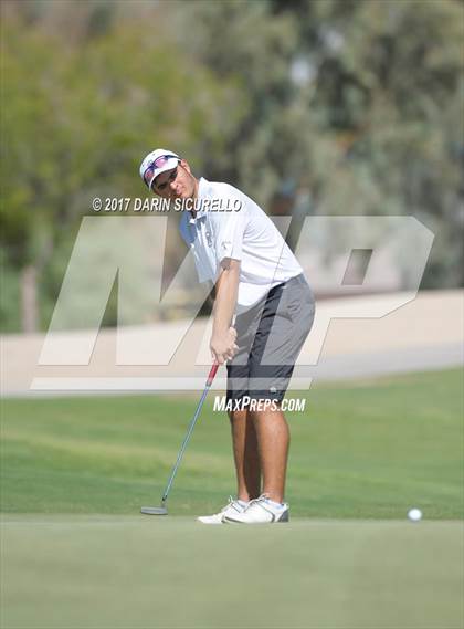 Thumbnail 2 in Basha,Chaparral,Pinnacle @Hamilton photogallery.