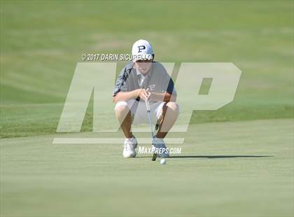Thumbnail 3 in Basha,Chaparral,Pinnacle @Hamilton photogallery.