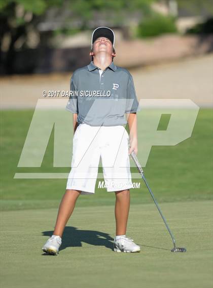 Thumbnail 1 in Basha,Chaparral,Pinnacle @Hamilton photogallery.