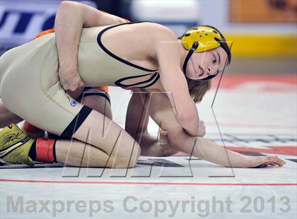Thumbnail 1 in PIAA AAA Wrestling Championships (Finals) photogallery.