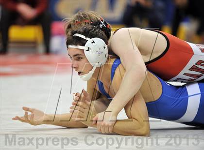Thumbnail 2 in PIAA AAA Wrestling Championships (Finals) photogallery.