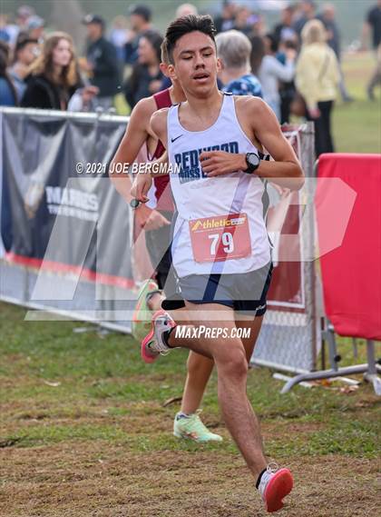 Thumbnail 1 in CIF Central Section Cross Country Championships (Boys D1 Race) photogallery.