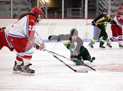 Thumbnail 2 in Beaver Dam / Randolph @ Arrowhead (Eastern Shores Conference Tournament) photogallery.