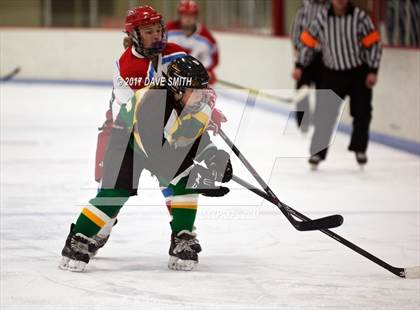 Thumbnail 2 in Beaver Dam / Randolph @ Arrowhead (Eastern Shores Conference Tournament) photogallery.