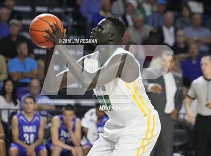 Thumbnail 2 in IMG Academy vs. Patrick School (City of Palms Classic) photogallery.