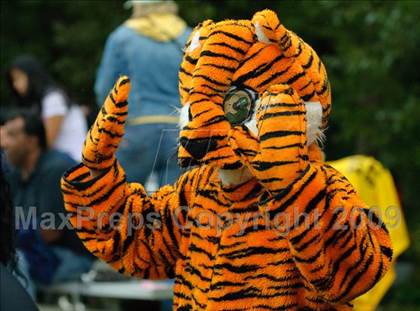 Thumbnail 3 in Woodlands @ Pawling photogallery.