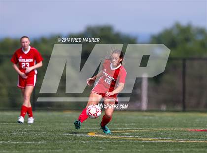 Thumbnail 2 in Hempfield @ Wilson photogallery.