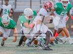 Photo from the gallery "Northgate @ McIntosh"
