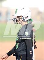 Photo from the gallery "Righetti @ St. Joseph"