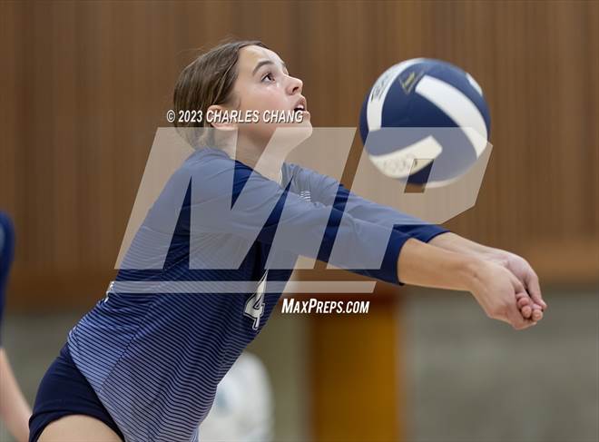 null - Photo 01