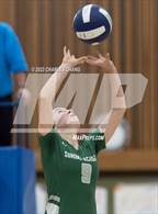 Photo from the gallery "Credo @ Sonoma Academy"