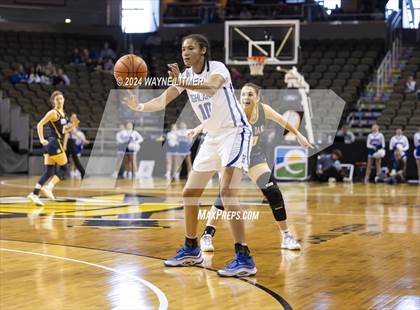 Thumbnail 3 in Notre Dame vs Highlands (2024 9th Region Girls Basketball Tournament) photogallery.