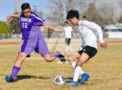 Thumbnail 1 in Incline @ Yerington photogallery.