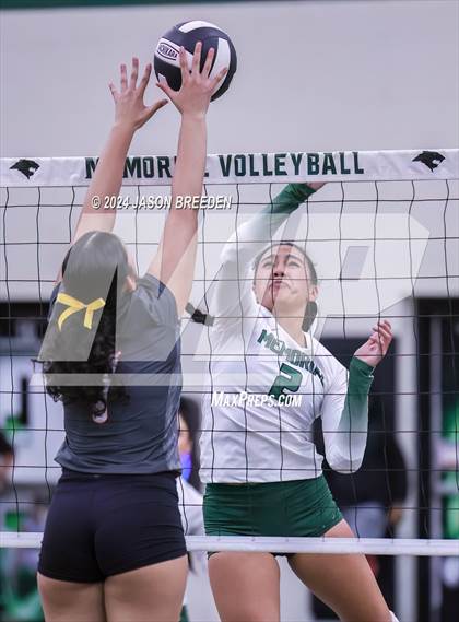Thumbnail 1 in Pioneer @ Pharr-San Juan-Alamo Memorial photogallery.