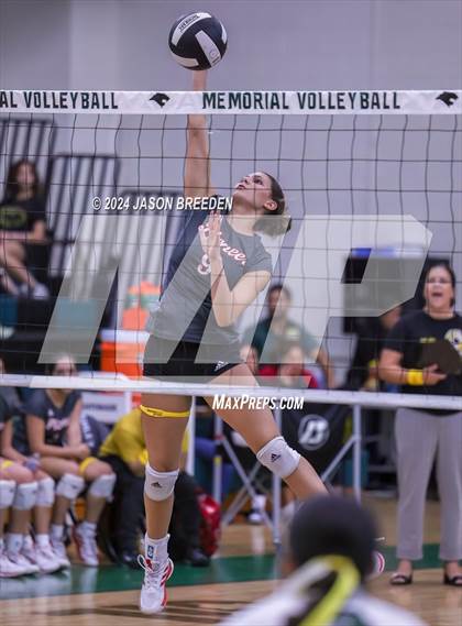 Thumbnail 3 in Pioneer @ Pharr-San Juan-Alamo Memorial photogallery.