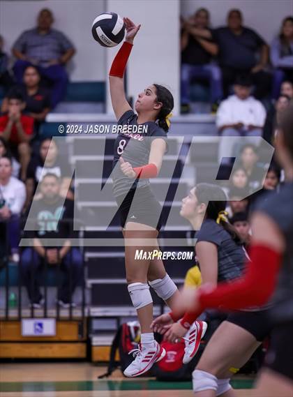 Thumbnail 1 in Pioneer @ Pharr-San Juan-Alamo Memorial photogallery.