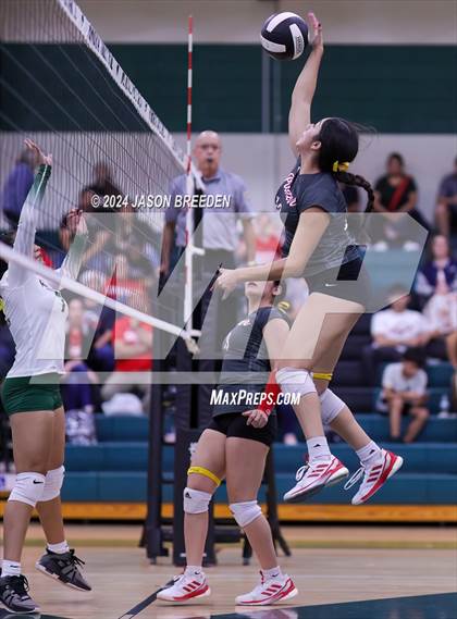 Thumbnail 1 in Pioneer @ Pharr-San Juan-Alamo Memorial photogallery.