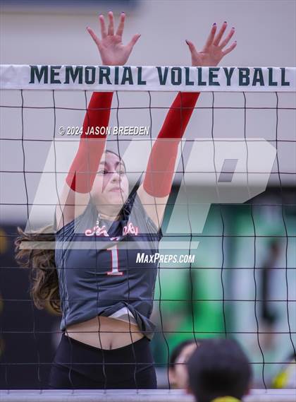 Thumbnail 2 in Pioneer @ Pharr-San Juan-Alamo Memorial photogallery.