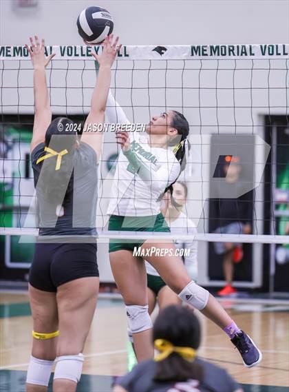 Thumbnail 2 in Pioneer @ Pharr-San Juan-Alamo Memorial photogallery.