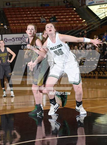 Thumbnail 1 in Colfax vs. Argonaut (CIF SJS D5 Final) photogallery.