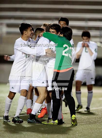 Thumbnail 3 in Rider vs Birdville photogallery.