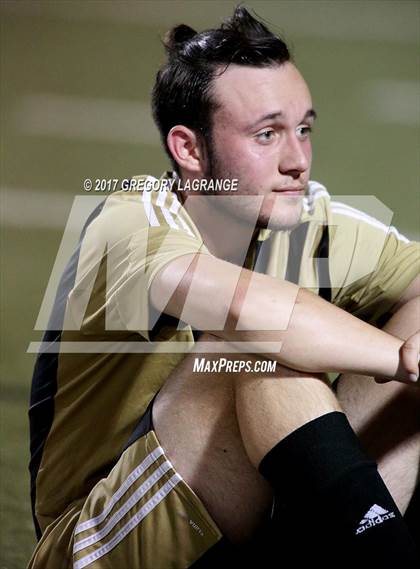 Thumbnail 1 in Rider vs Birdville photogallery.