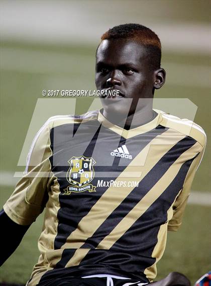 Thumbnail 1 in Rider vs Birdville photogallery.