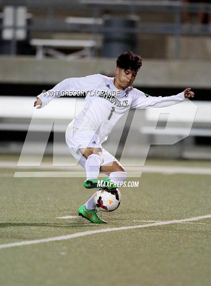 Thumbnail 2 in Rider vs Birdville photogallery.