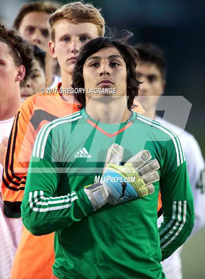 Thumbnail 2 in Rider vs Birdville photogallery.