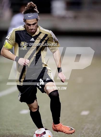 Thumbnail 2 in Rider vs Birdville photogallery.
