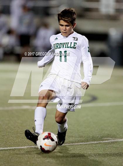 Thumbnail 3 in Rider vs Birdville photogallery.