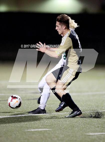 Thumbnail 3 in Rider vs Birdville photogallery.