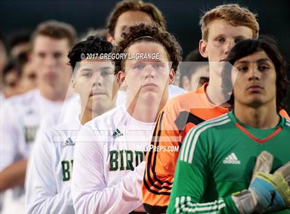 Thumbnail 1 in Rider vs Birdville photogallery.