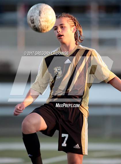 Thumbnail 2 in Rider vs Birdville photogallery.