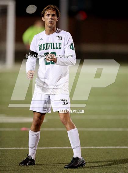 Thumbnail 1 in Rider vs Birdville photogallery.